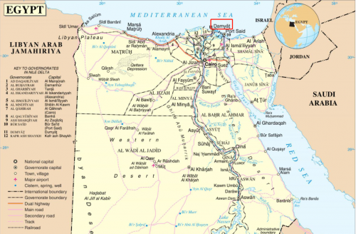 利維智能與ZPMC就埃及達米埃塔碼頭3台岸橋項目達成合作